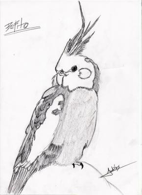 &iexcl;&iexcl;&iexcl; Bufyt0 !!!