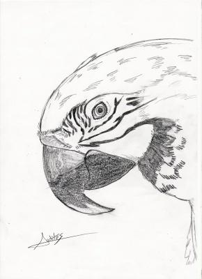 &iexcl;&iexcl;&iexcl;  Pri$ci  !!!